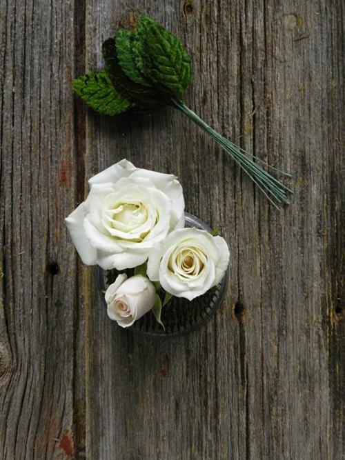 WHITE SPRAY ROSES